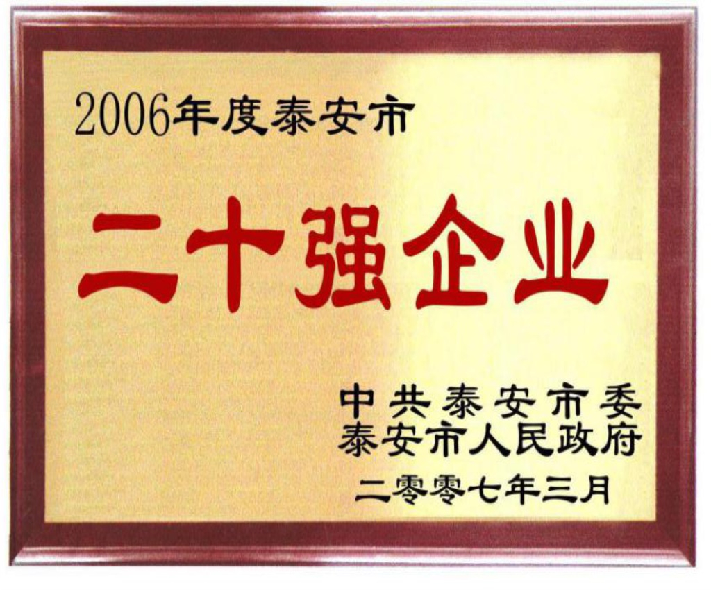 泰安市二十強(qiáng)企業(yè)